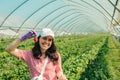 woman gathering strawberries at the farm