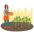 A Woman gathering tomatoes at the urban garden on the rooftop.