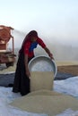 Woman gathering wheat