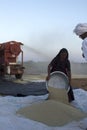 Woman gathering wheat