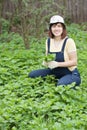 Woman gathers nettle