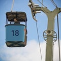 A Woman Gazes Down from the San Diego Zoo Skyfari