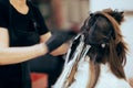 Woman Getting Highlights at the Hair Salon by Fast Hairdresser