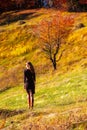 Woman girl autumn forest ray sunlight red yellow deep sun Royalty Free Stock Photo
