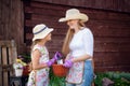 Woman and girl, mother and daughter, gardening together planting flowers in the garden. Royalty Free Stock Photo