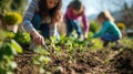 A woman and girls are planting plants in a garden AIG41 Royalty Free Stock Photo