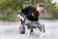 Woman gives a command to her dog puppy Siberian Husky in the autumn park. Dog training and obedience Royalty Free Stock Photo