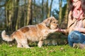 Woman gives dog a treat and gets the paw Royalty Free Stock Photo