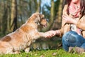 Woman gives dog a treat and gets the paw Royalty Free Stock Photo