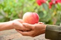 Woman giving apple to old lady for good healthy Royalty Free Stock Photo