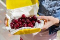 Woman giving lunchbox with fresh ripe tasty cherries. Girls hand holding box with organic sweet berries. Healthy food and vitamin Royalty Free Stock Photo