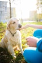 Woman giving treat to dog Royalty Free Stock Photo