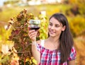 Woman with glass of wine in the vineyard. Royalty Free Stock Photo