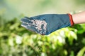 Woman in glove pouring fertilizer on blurred background. Gardening time