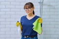 Woman in gloves with detergent spray washcloth doing cleaning in bathroom Royalty Free Stock Photo