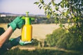 Woman with gloves spraying a leaves of fruit tree against plant diseases and pests