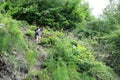 Woman going down hill in summer Royalty Free Stock Photo