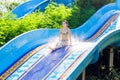 Woman going down a water slide Royalty Free Stock Photo