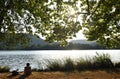 Woman going on excursion and contemplating the sunset Royalty Free Stock Photo