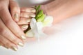 Woman with gold manicure holding flower on light background. Nail polish trends