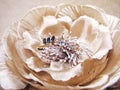 Woman golden rings garnet topaz jewelry jewellery fabric silk peony flower macro photo Royalty Free Stock Photo