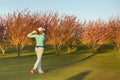 Woman golf player teeing-off. Royalty Free Stock Photo