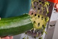 woman grating zucchini with a stainless steel hand grater Royalty Free Stock Photo