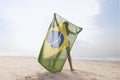 Woman in green bikini holding up Brazil flag on beach Royalty Free Stock Photo