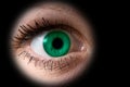 Woman green eye Royalty Free Stock Photo