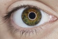 Woman green eye closeup Royalty Free Stock Photo