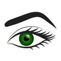 Woman green eye hand draw stock vector illustration design Royalty Free Stock Photo