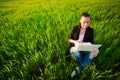 Woman in a green field with a laptop. summer Royalty Free Stock Photo