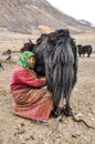 Woman with green headcloth in Tajikistan Royalty Free Stock Photo