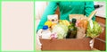 Woman in green shirt and protective gloves put delivered box with food products on wooden table in kitchen. Copy space Royalty Free Stock Photo