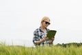 Woman Wearing Sunglasses and Staring at a Tablet in Wheat Field