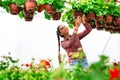 Woman in a greenhouse. Girl holding vase with green plant. Royalty Free Stock Photo