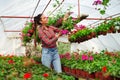 Woman in a greenhouse. Girl holding vase with green plant. Royalty Free Stock Photo