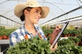 Woman in the greenhouse to take notes on the clipboard