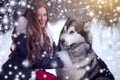 The woman in grey coat with a dog or wolf. Fairy tale. Snowfall. Christmas Royalty Free Stock Photo
