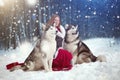 The woman in grey coat with a dog or wolf. Fairy tale. Royalty Free Stock Photo