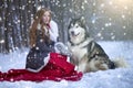 The woman in grey coat with a dog or wolf. Royalty Free Stock Photo