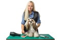 Woman groomer combing cute shih-tzu dog