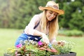 Woman growing flowers outside in summer