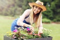 Woman growing flowers outside in summer