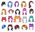 Woman hairstyle wigs vector halloween haircut and female fake hair style or bobwig illustration hairdressing or