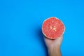 Woman han holding a cut pink grapefruit isolated on blue background. Royalty Free Stock Photo