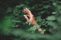 Woman hand against green leaf background. Back to nature, love earth, copy space