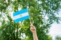 Woman hand arm waving Argentina flag on blue sky and green forest Royalty Free Stock Photo