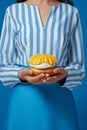 Woman hand burger hamburger