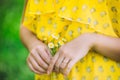 Woman hand with a camomile. Royalty Free Stock Photo